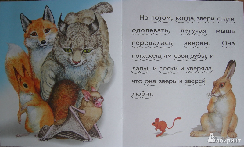 Иллюстрация 15 из 16 для Белка и волк - Лев Толстой | Лабиринт - книги. Источник: Julia Shilova