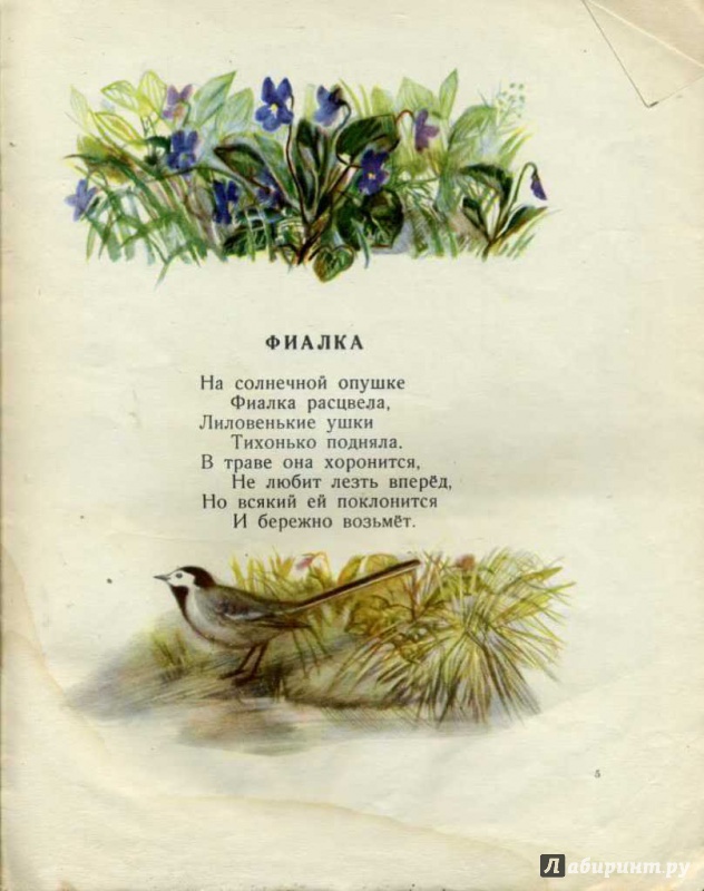 Иллюстрация 11 из 69 для Наши цветы - Екатерина Серова | Лабиринт - книги. Источник: pippilotta
