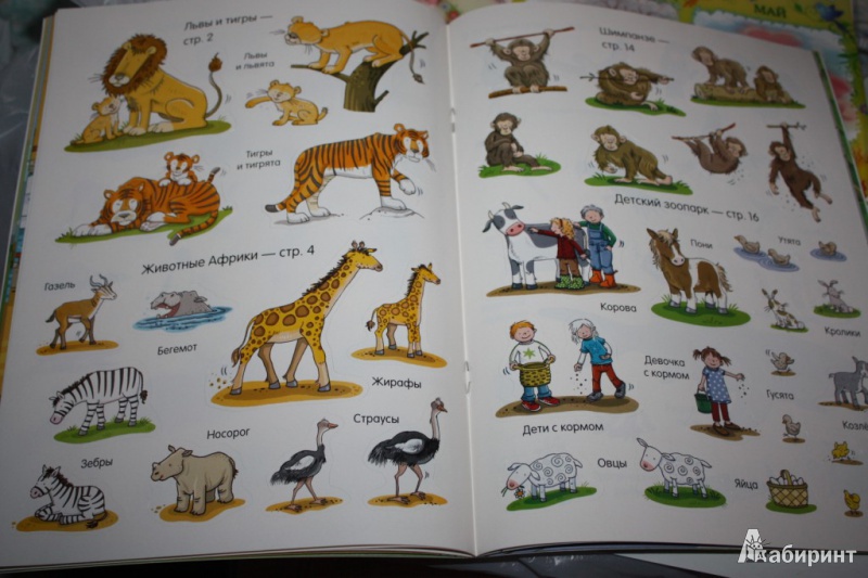 Иллюстрация 10 из 20 для Книга с наклейками. В зоопарке | Лабиринт - книги. Источник: Ko-ren