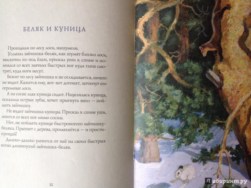 Иллюстрация 59 из 64 для Зима в лесу - Иван Соколов-Микитов | Лабиринт - книги. Источник: Корнеева  Ольга