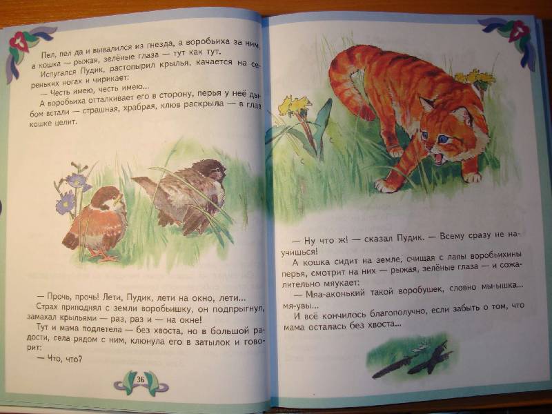 Иллюстрация 33 из 47 для Лучшие произведения для детей. 4-5 лет | Лабиринт - книги. Источник: Нинуля