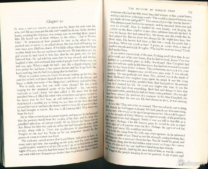 Иллюстрация 28 из 28 для The picture of Dorian Gray - Oscar Wilde | Лабиринт - книги. Источник: Rishka Amiss