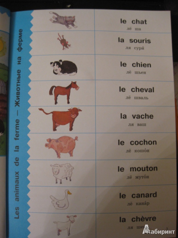 Иллюстрация 3 из 9 для Французский язык. Спрячь и скажи - Бруццоне, Мартино | Лабиринт - книги. Источник: White lady