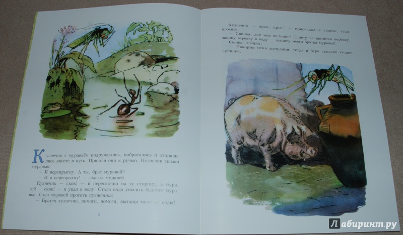 Иллюстрация 11 из 42 для Кузнечик и муравей | Лабиринт - книги. Источник: Книжный кот