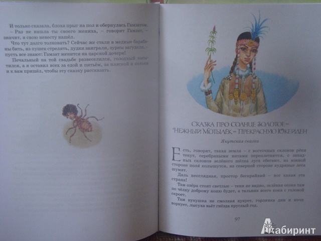 Иллюстрация 4 из 26 для Тридевятое царство | Лабиринт - книги. Источник: Кубарева Наталья