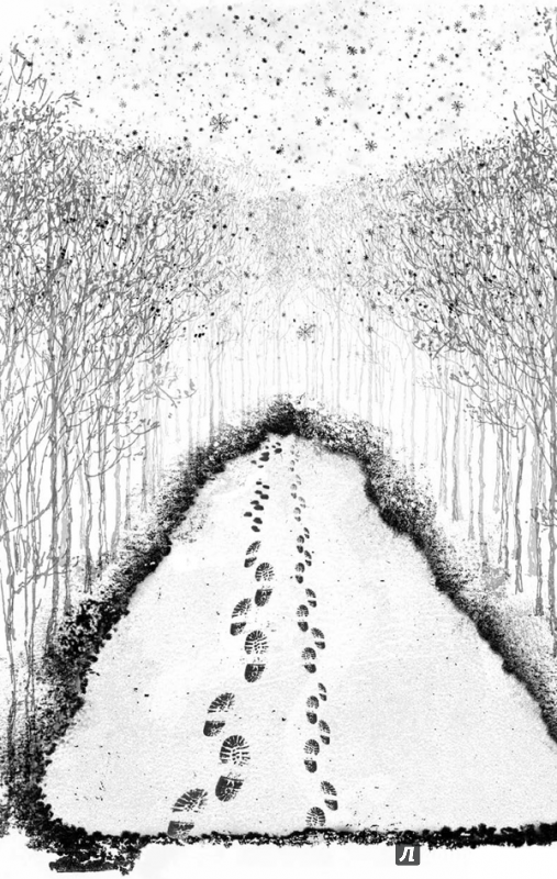 Иллюстрация 2 из 25 для Хижина в лесу - Роберт Динсдейл | Лабиринт - книги. Источник: Старчикова  Елена