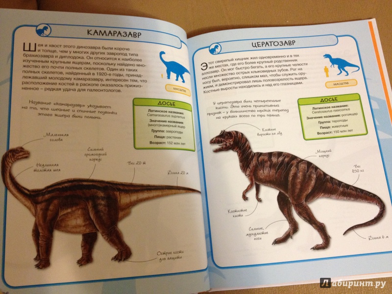 Иллюстрация 28 из 29 для Динозавры - Стив Паркер | Лабиринт - книги. Источник: Шашуловская  Дарья