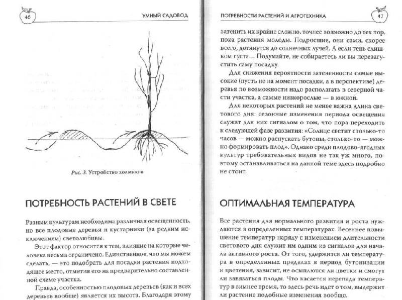 Иллюстрация 9 из 30 для Умный садовод - Мария Цветкова | Лабиринт - книги. Источник: Юта