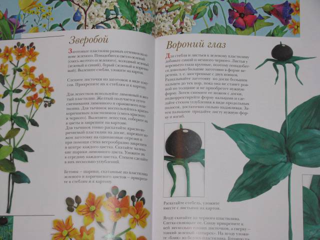 Иллюстрация 31 из 36 для Цветы из разных материалов - Ляукина, Карелина, Галанова | Лабиринт - книги. Источник: Nemertona