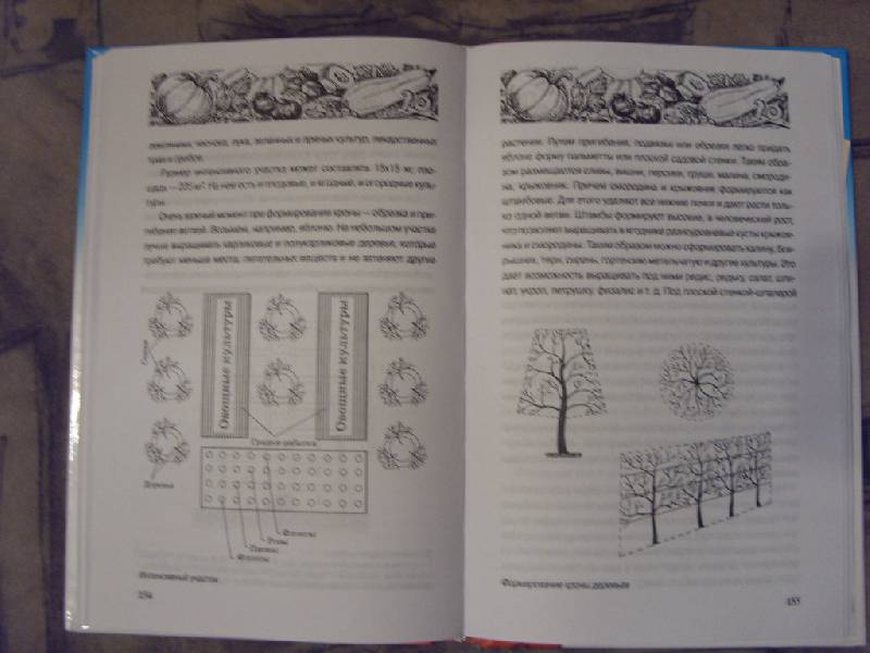 Иллюстрация 4 из 11 для Чудо-огород - Борис Страга | Лабиринт - книги. Источник: Золотая рыбка