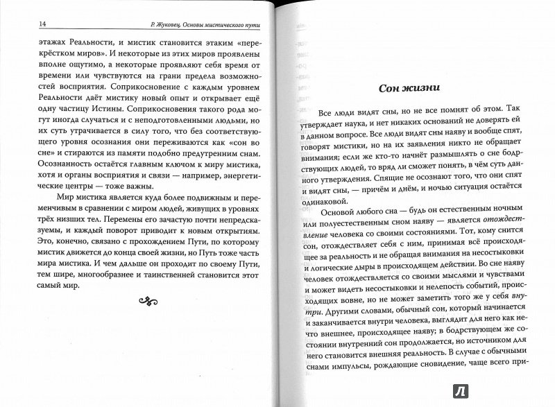 Иллюстрация 8 из 13 для Основы мистического пути - Руслан Жуковец | Лабиринт - книги. Источник: Don Serjio