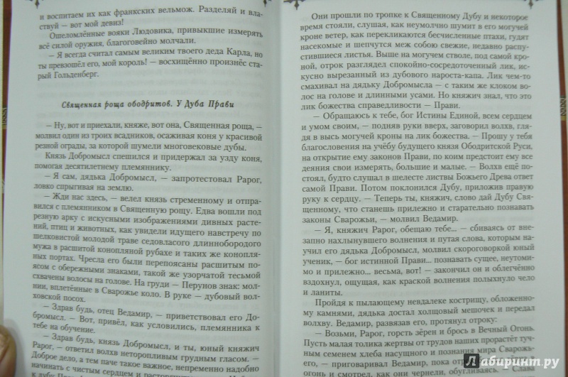 Иллюстрация 4 из 24 для Рюрик. Полет сокола - Задорнов, Гнатюк, Гнатюк | Лабиринт - книги. Источник: Марина