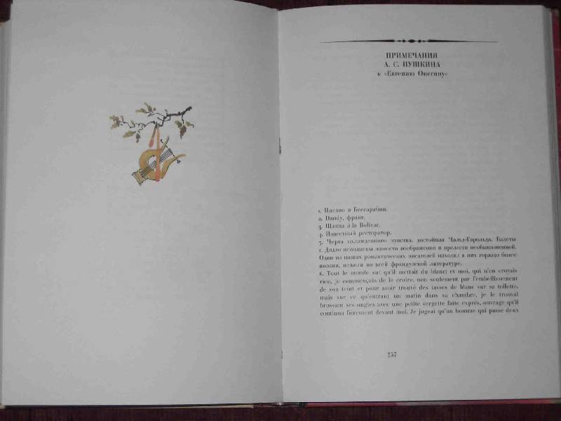 Иллюстрация 32 из 87 для Евгений Онегин - Александр Пушкин | Лабиринт - книги. Источник: Трухина Ирина