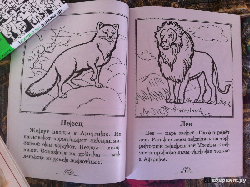 Иллюстрация 14 из 23 для 100 познавательных текстов для обучения детей чтению - Узорова, Нефедова | Лабиринт - книги. Источник: ИрМур