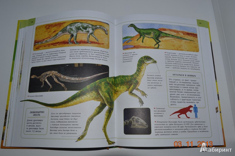 Иллюстрация 8 из 34 для Динозавры | Лабиринт - книги. Источник: Кочкина  Екатерина