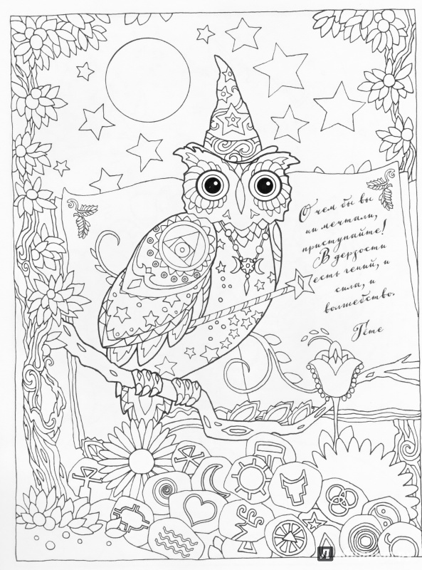 Иллюстрация 38 из 45 для Совушки - Marjorie Sarnat | Лабиринт - книги. Источник: Rain