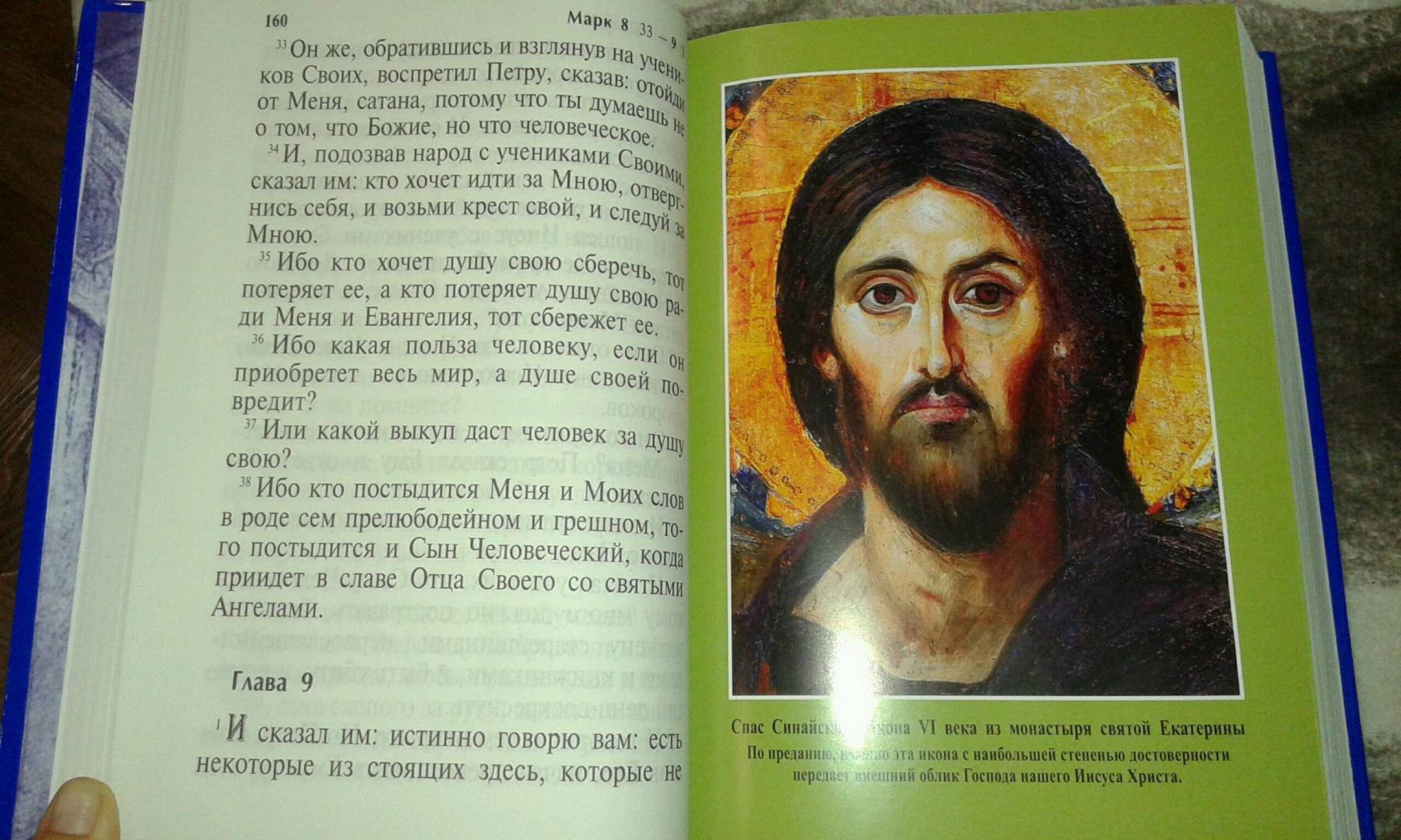 Иллюстрация 5 из 16 для Новый Завет на русском языке | Лабиринт - книги. Источник: Forget-me-not