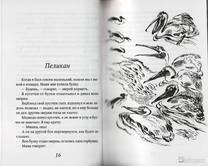 Иллюстрация 14 из 15 для Отважный пингвиненок - Геннадий Снегирев | Лабиринт - книги. Источник: mara_glad