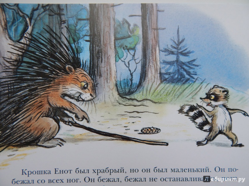 Иллюстрация 36 из 97 для Крошка Енот и тот, кто сидит в пруду - Лилиан Муур | Лабиринт - книги. Источник: Мелкова  Оксана