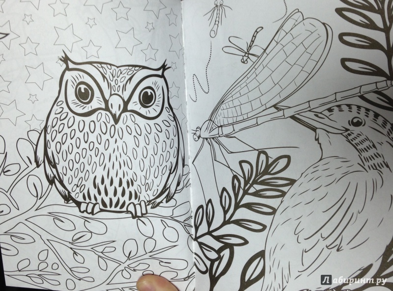 Иллюстрация 27 из 44 для Удивительные животные. Мини-раскраска-антистресс для творчества и вдохновения | Лабиринт - книги. Источник: Tatiana Sheehan