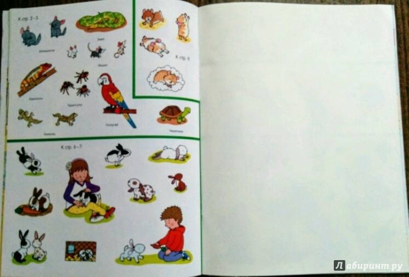Иллюстрация 29 из 41 для Домашние любимцы (с наклейками) | Лабиринт - книги. Источник: Natalie Leigh
