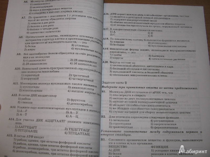 Иллюстрация 4 из 31 для Биология. Введение в общую биологию. 9 класс. Рабочая тетрадь - Пасечник, Швецов | Лабиринт - книги. Источник: Рыженький