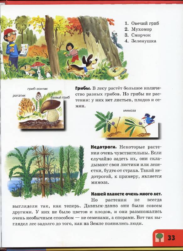 Иллюстрация 9 из 34 для Живая природа | Лабиринт - книги. Источник: Igra
