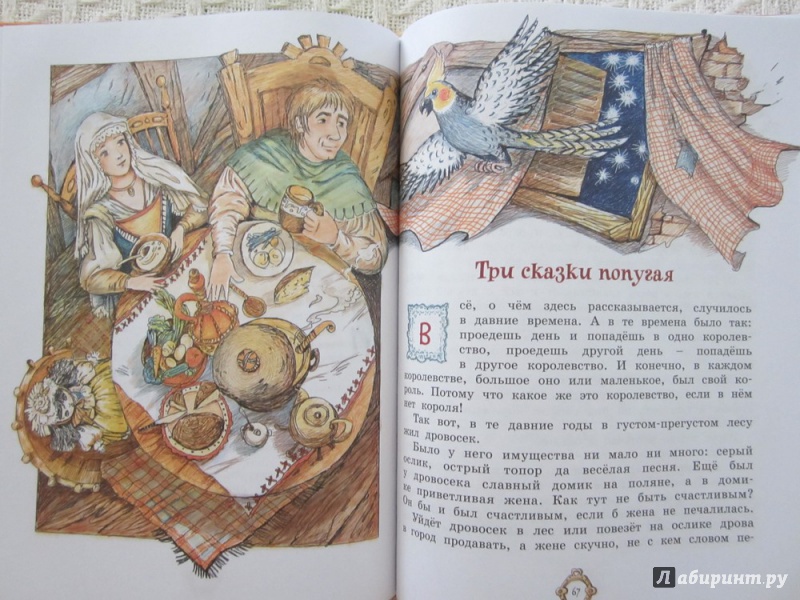 Иллюстрация 43 из 43 для Принцесса из Апельсина | Лабиринт - книги. Источник: ЮлияО