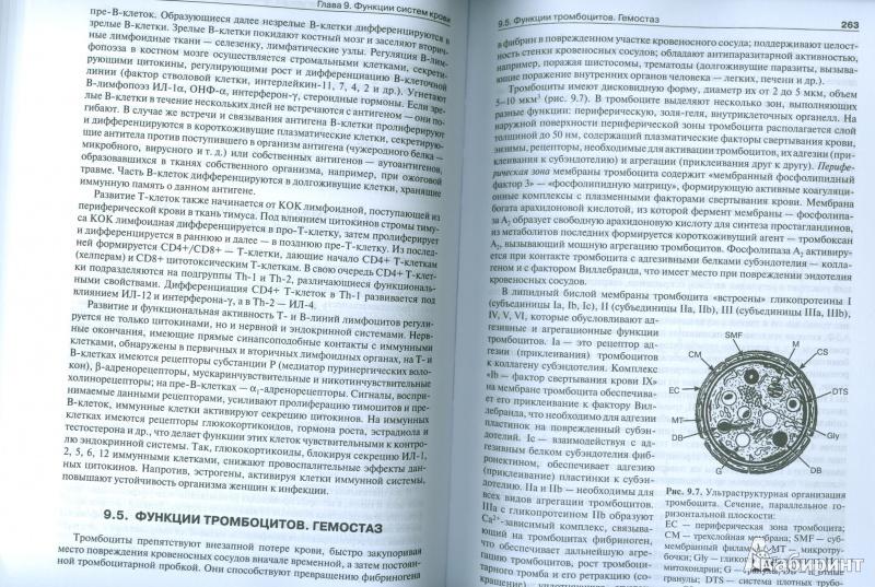 Иллюстрация 9 из 43 для Нормальная физиология. Учебник +CD - Брин, Ткаченко, Захаров, Мазинг | Лабиринт - книги. Источник: Еrin