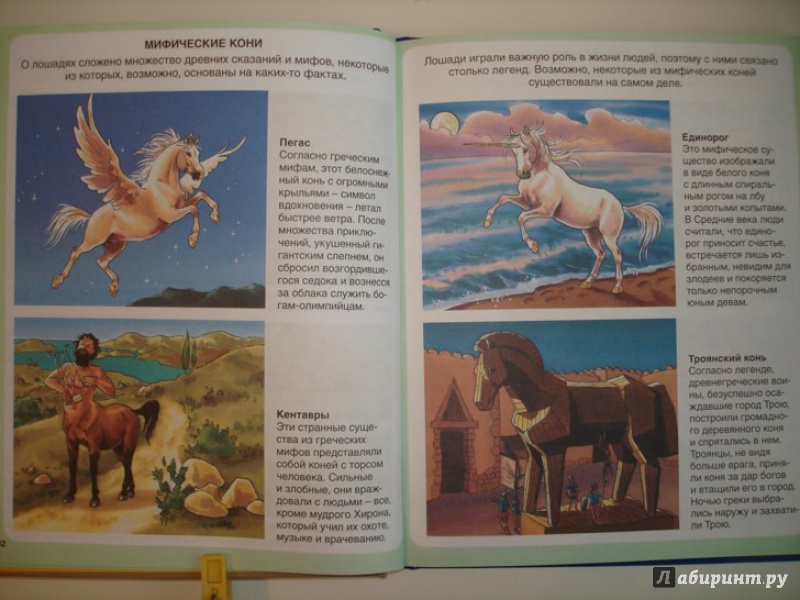 Иллюстрация 7 из 11 для Пони и лошади - Эмили Бомон | Лабиринт - книги. Источник: Сорокина  Лариса