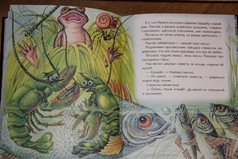 Иллюстрация 27 из 39 для Сказки из леса | Лабиринт - книги. Источник: Vilvarin  Laurea