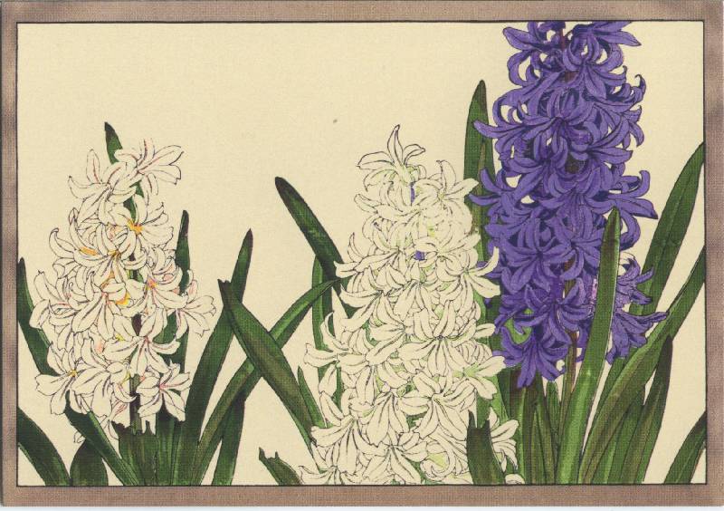 Иллюстрация 30 из 32 для Цветы Конана Танигами. На почтовых открытках | Лабиринт - сувениры. Источник: Anggva