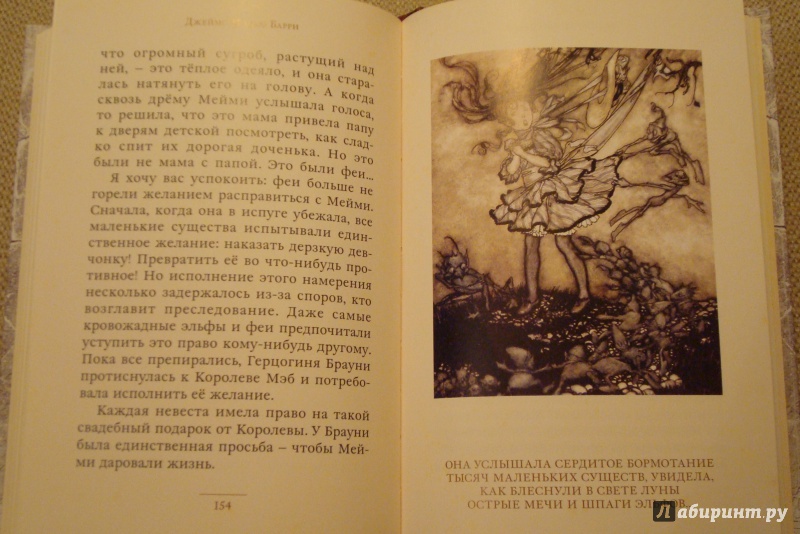 Иллюстрация 27 из 35 для Питер Пэн в Кенсингтонском саду - Джеймс Барри | Лабиринт - книги. Источник: Butyavka