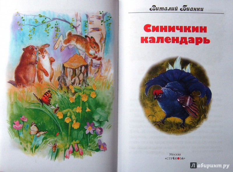 Иллюстрация 5 из 29 для Синичкин календарь - Виталий Бианки | Лабиринт - книги. Источник: Соловьев  Владимир