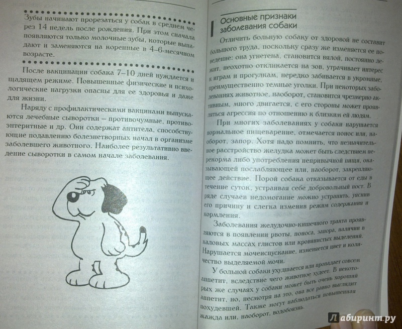 Иллюстрация 12 из 29 для Знакомьтесь, это ваша собака! | Лабиринт - книги. Источник: Татьяна Г.