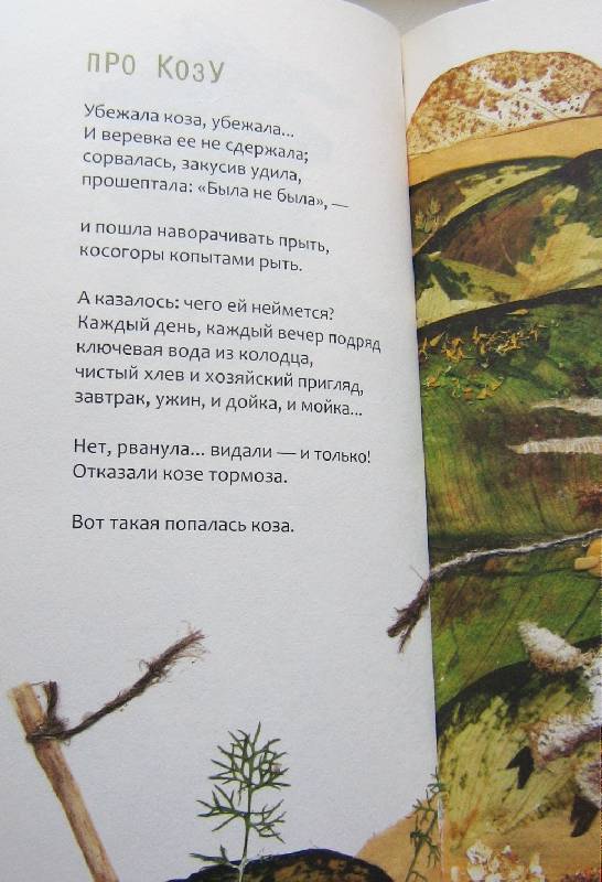 Иллюстрация 43 из 51 для Я был в стране чудес - Михаил Грозовский | Лабиринт - книги. Источник: Pam
