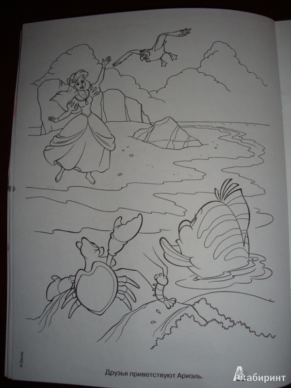 Иллюстрация 7 из 9 для Волшебная раскраска. Русалочка (№13151) | Лабиринт - книги. Источник: Иринич  Лариса Павловна