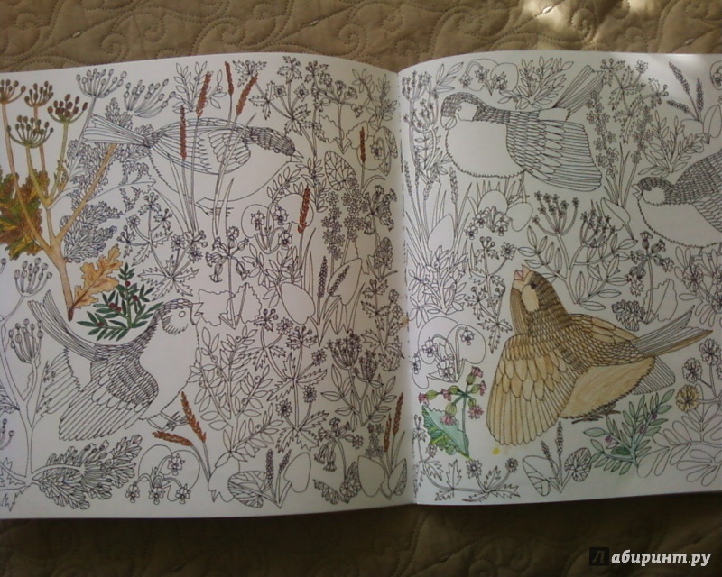 Иллюстрация 32 из 46 для Птицы счастья. Раскрась свой мир и добавь жизни цвета | Лабиринт - книги. Источник: Родионова  Надежда