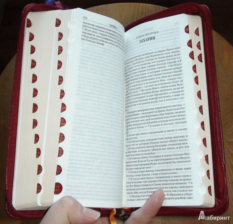 Иллюстрация 7 из 16 для Библия бордовая кожаная на молнии (1259) (каноническая) (047YZTI) | Лабиринт - книги. Источник: Дочкина Мамочка
