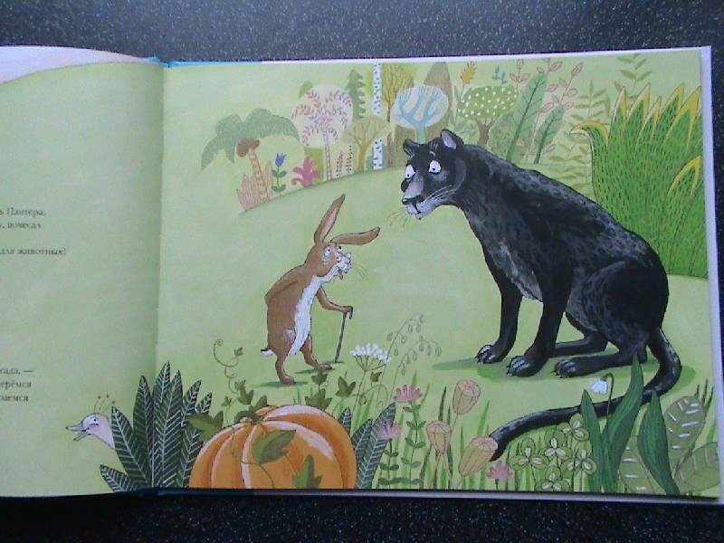 Иллюстрация 6 из 39 для Пантера в чудесном саду - Карау Мартин | Лабиринт - книги. Источник: Обычная москвичка