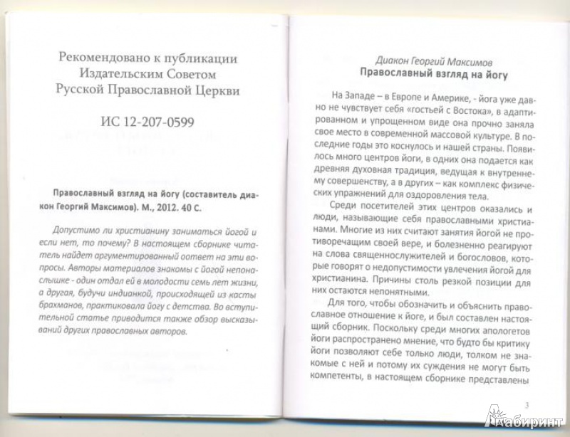 Иллюстрация 3 из 12 для Православный взгляд на йогу. Сборник статей | Лабиринт - книги. Источник: Конюхов  Дмитрий