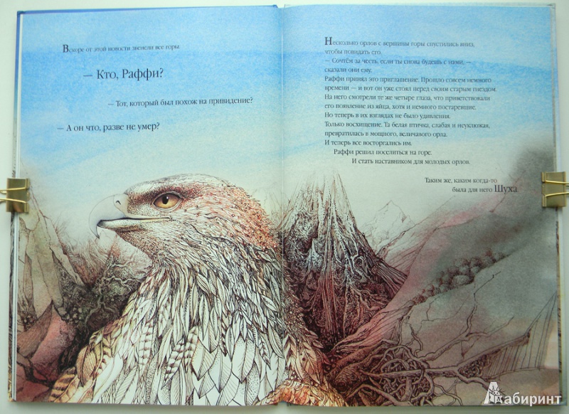 Иллюстрация 17 из 39 для Раффи, белоснежный орёл - Рэйнвиль, Джеминиани | Лабиринт - книги. Источник: Раскова  Юлия