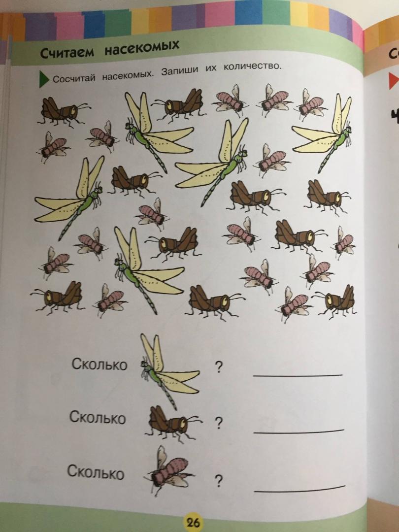 Иллюстрация 24 из 26 для Учимся считать от 1 до 20. Для детей 4-5 лет | Лабиринт - книги. Источник: u_p