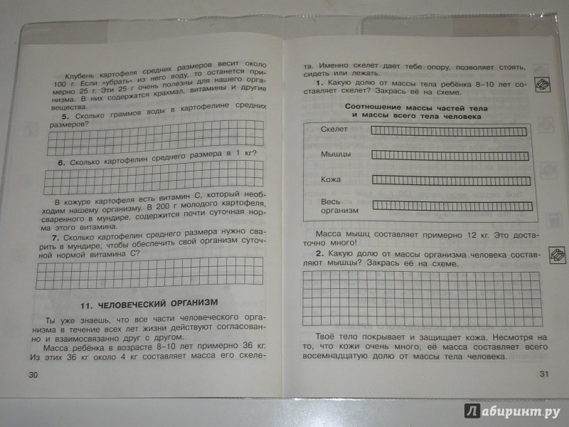 Иллюстрация 20 из 27 для Практические задачи по математике. Подготовка к олимпиаде. 2-й класс. Учебное пособие - Ольга Захарова | Лабиринт - книги. Источник: irina-9