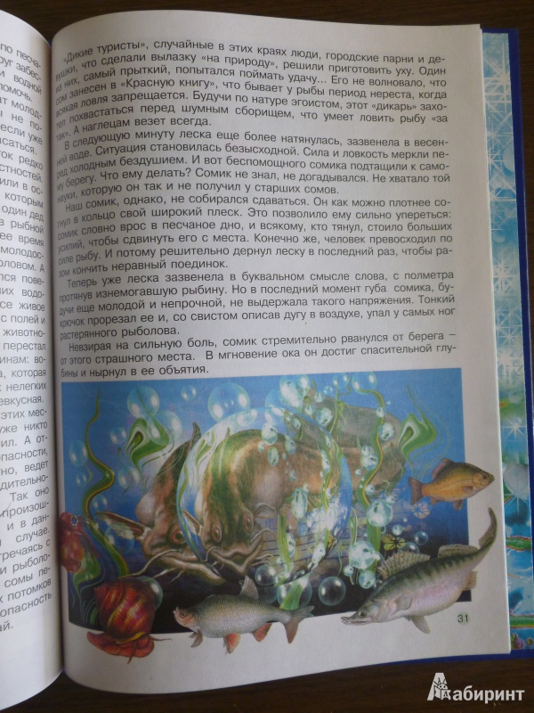Иллюстрация 11 из 45 для Властелин бездны - Вячеслав Стома | Лабиринт - книги. Источник: дева
