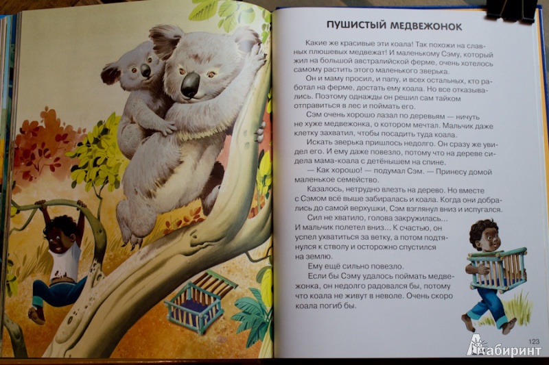 Иллюстрация 13 из 36 для Веселые истории о животных - Пьеранджела Фьорани | Лабиринт - книги. Источник: nata_