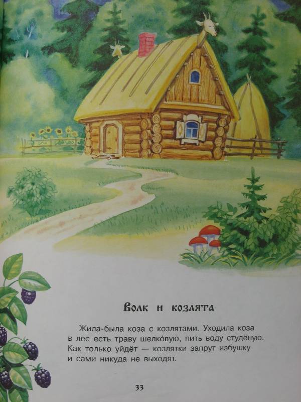 Иллюстрация 23 из 24 для Русские народные сказки | Лабиринт - книги. Источник: Afina