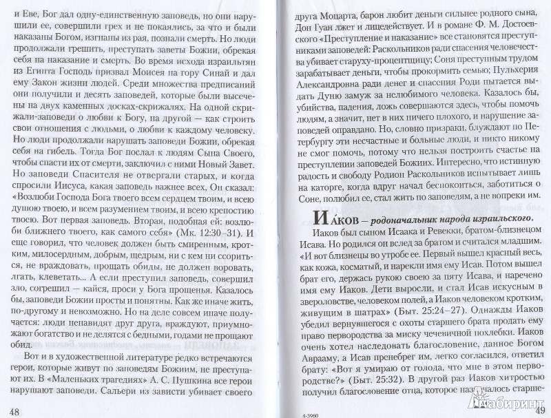 Иллюстрация 17 из 19 для Школьный библейский словарь - Н. Давыдова | Лабиринт - книги. Источник: Филиппова Ольга