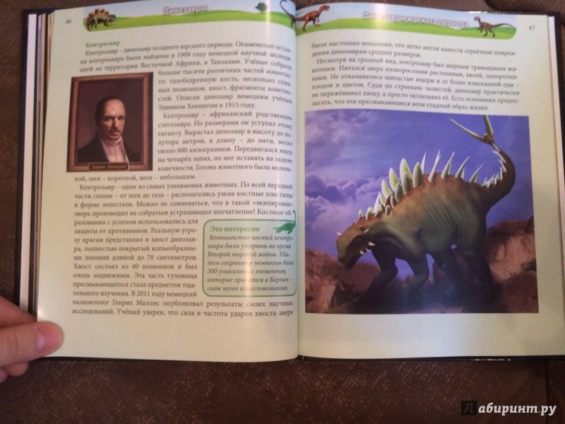 Иллюстрация 25 из 36 для Динозавры - Ирина Астапенко | Лабиринт - книги. Источник: Лабиринт