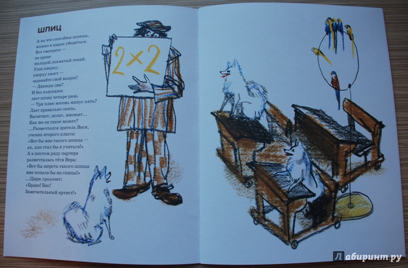 Иллюстрация 14 из 26 для Верные лапы - Олег Тарутин | Лабиринт - книги. Источник: Книжный кот